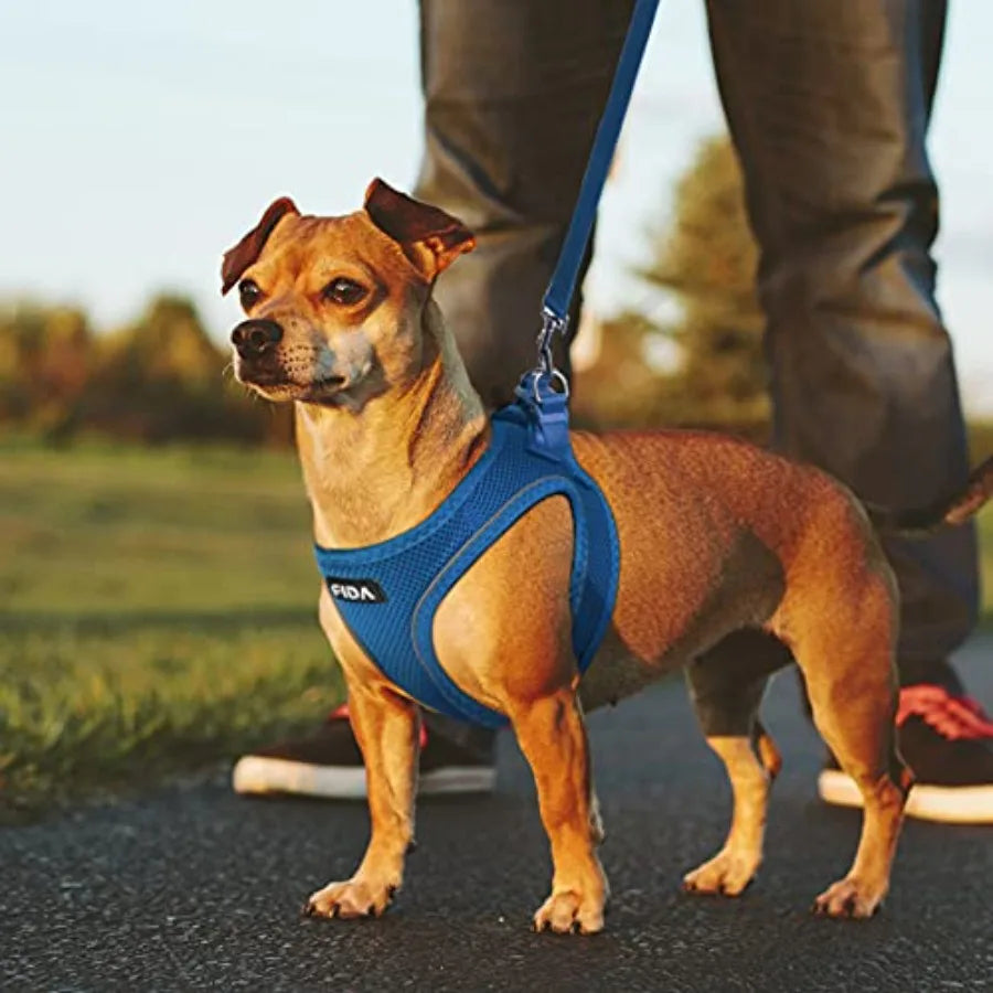 Comfy Dog Harness With Leash, Breathable Reflective Puppy Vest