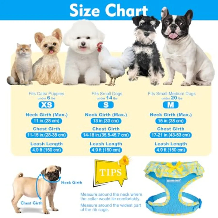 Adjustable No Choke Step In Dog Harness Collar Leash Set