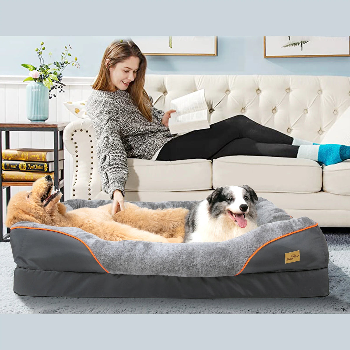 Bingopaw Comfortable Dog Bed With Removable Fleece Cover
