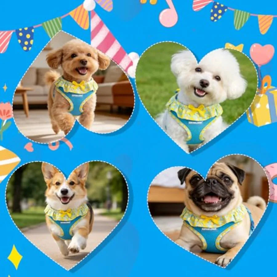 Adjustable No Choke Step In Dog Harness Collar Leash Set