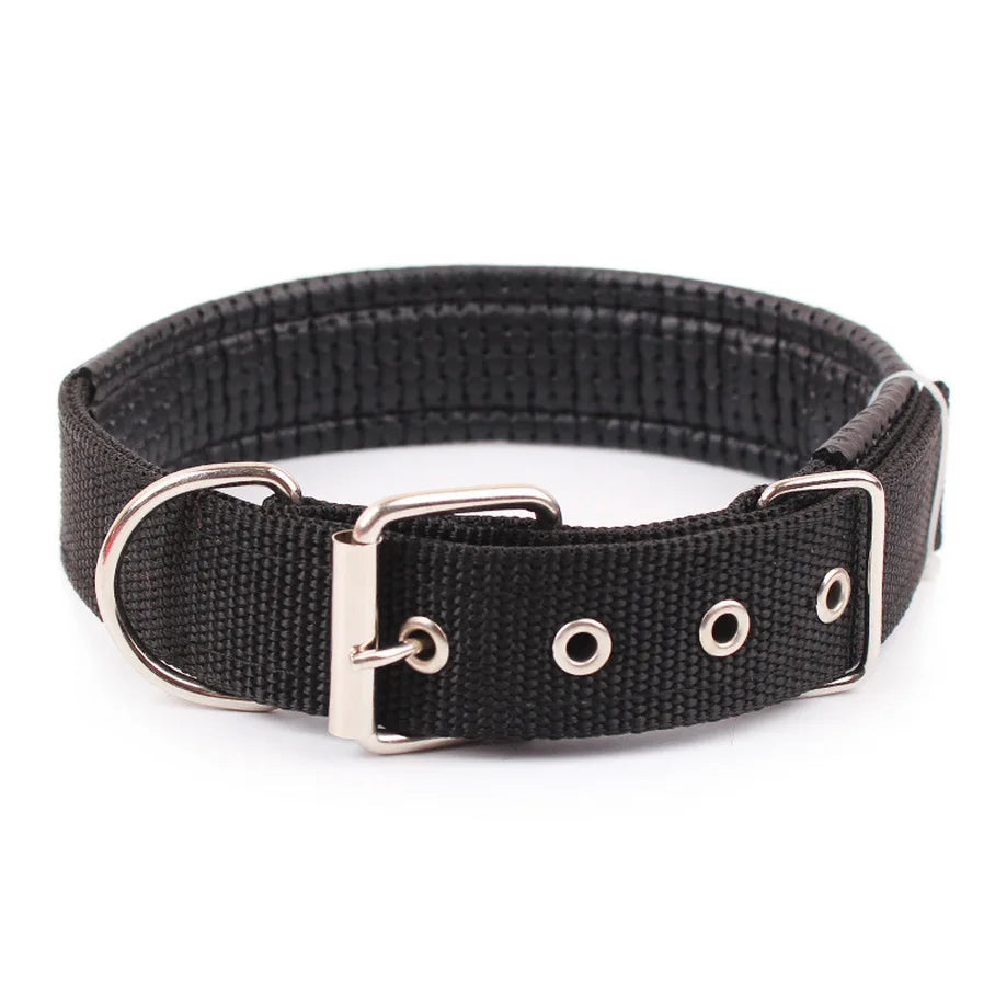 Durable Solid Nylon Dog Collar for Dogs of All Breeds