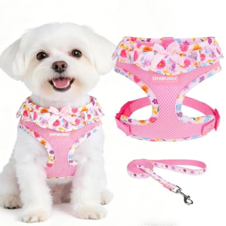Adjustable No Choke Step In Dog Harness Collar Leash Set