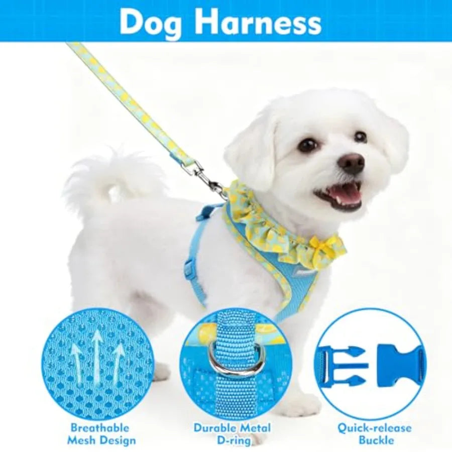 Adjustable No Choke Step In Dog Harness Collar Leash Set