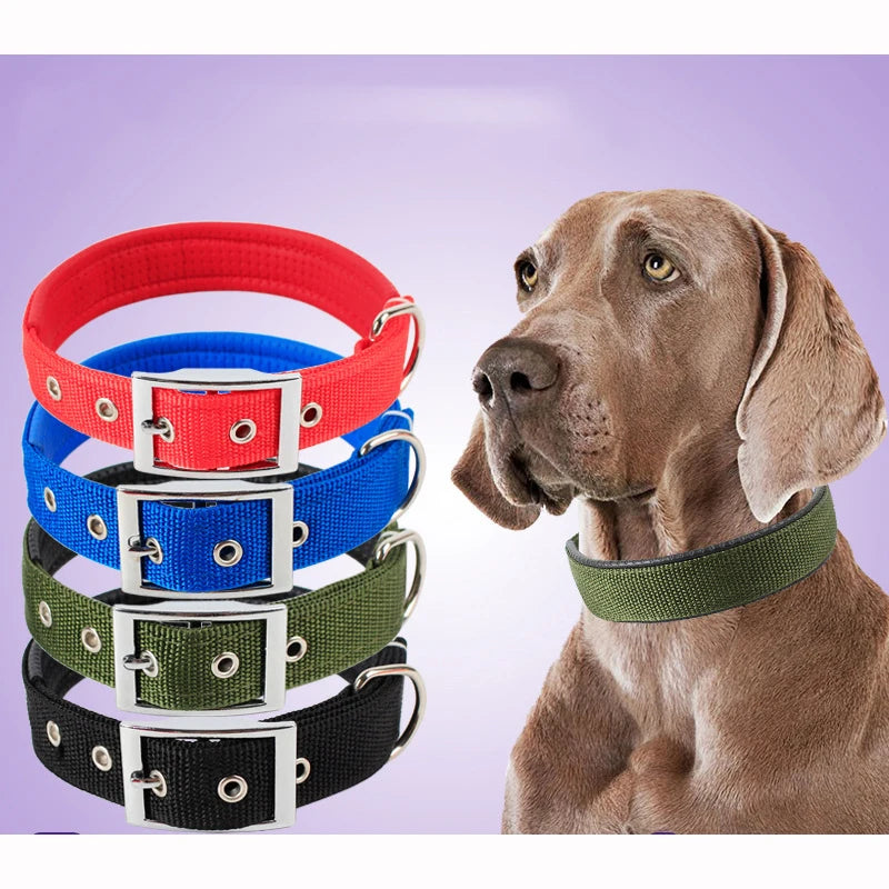 Durable Solid Nylon Dog Collar for Dogs of All Breeds