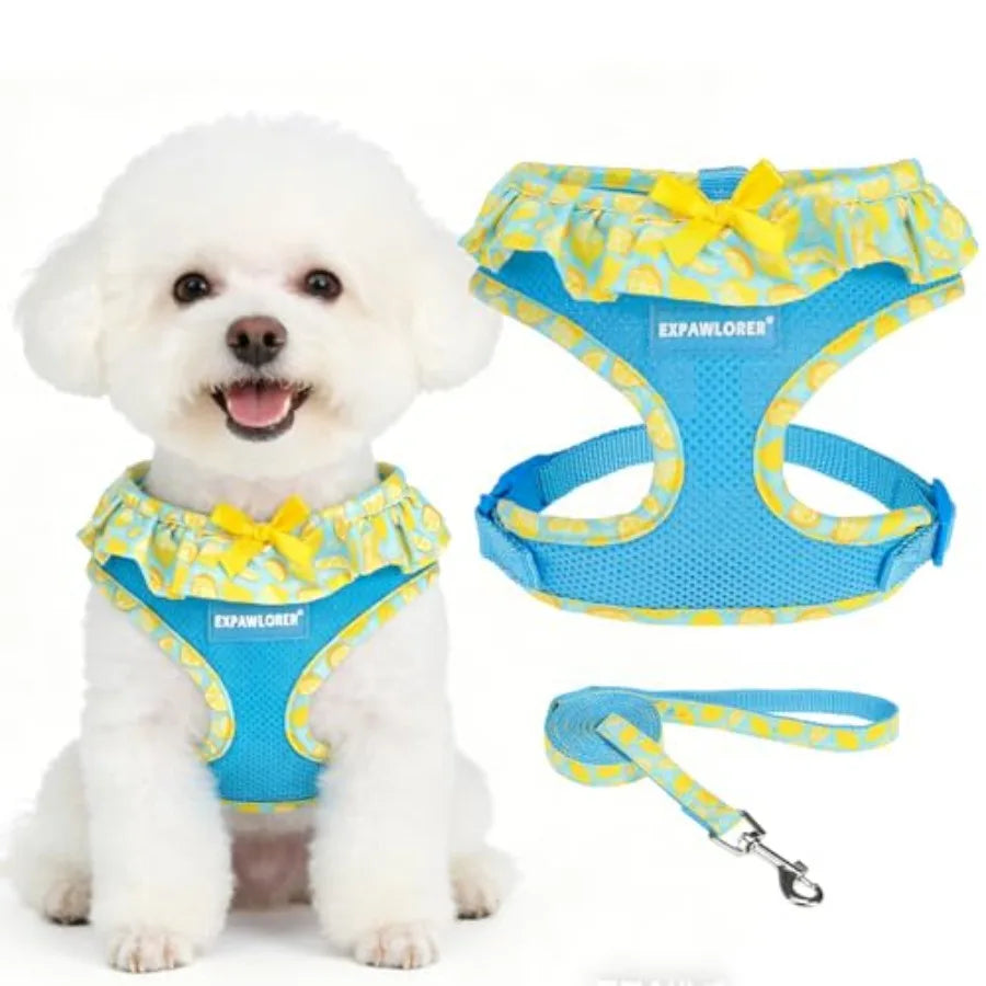 Adjustable No Choke Step In Dog Harness Collar Leash Set