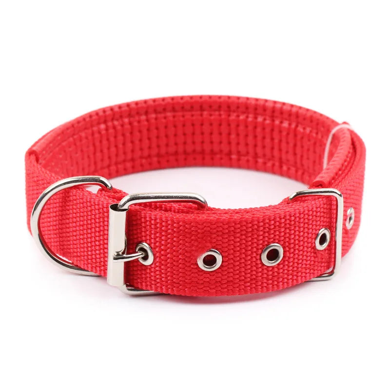 Durable Solid Nylon Dog Collar for Dogs of All Breeds