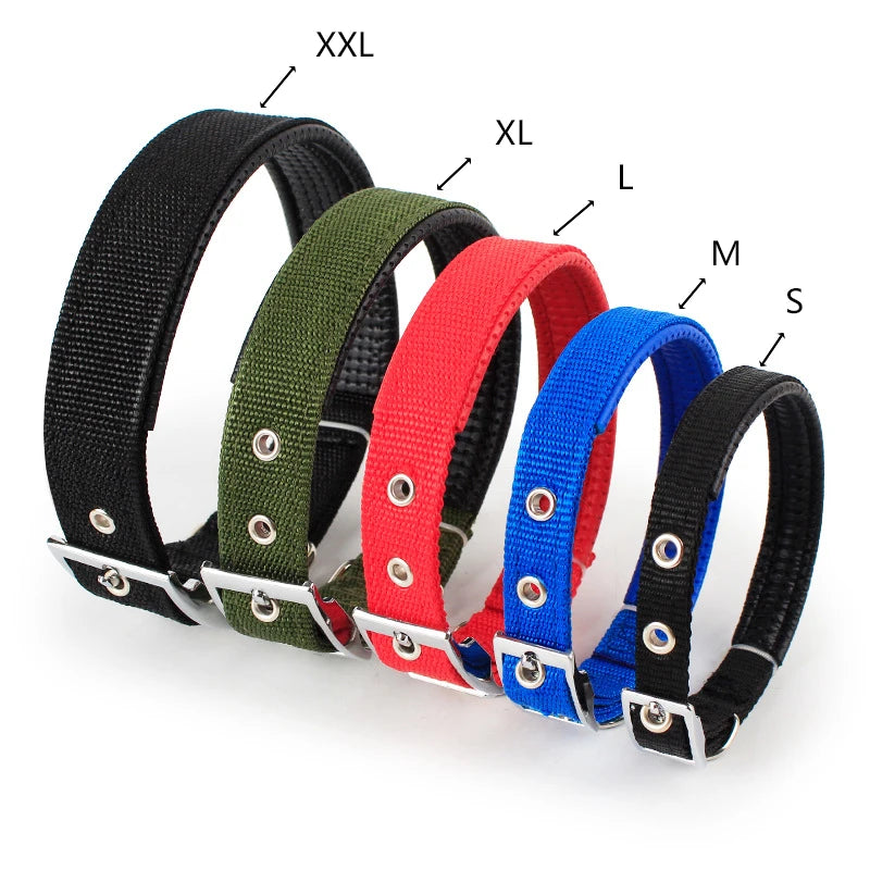 Durable Solid Nylon Dog Collar for Dogs of All Breeds