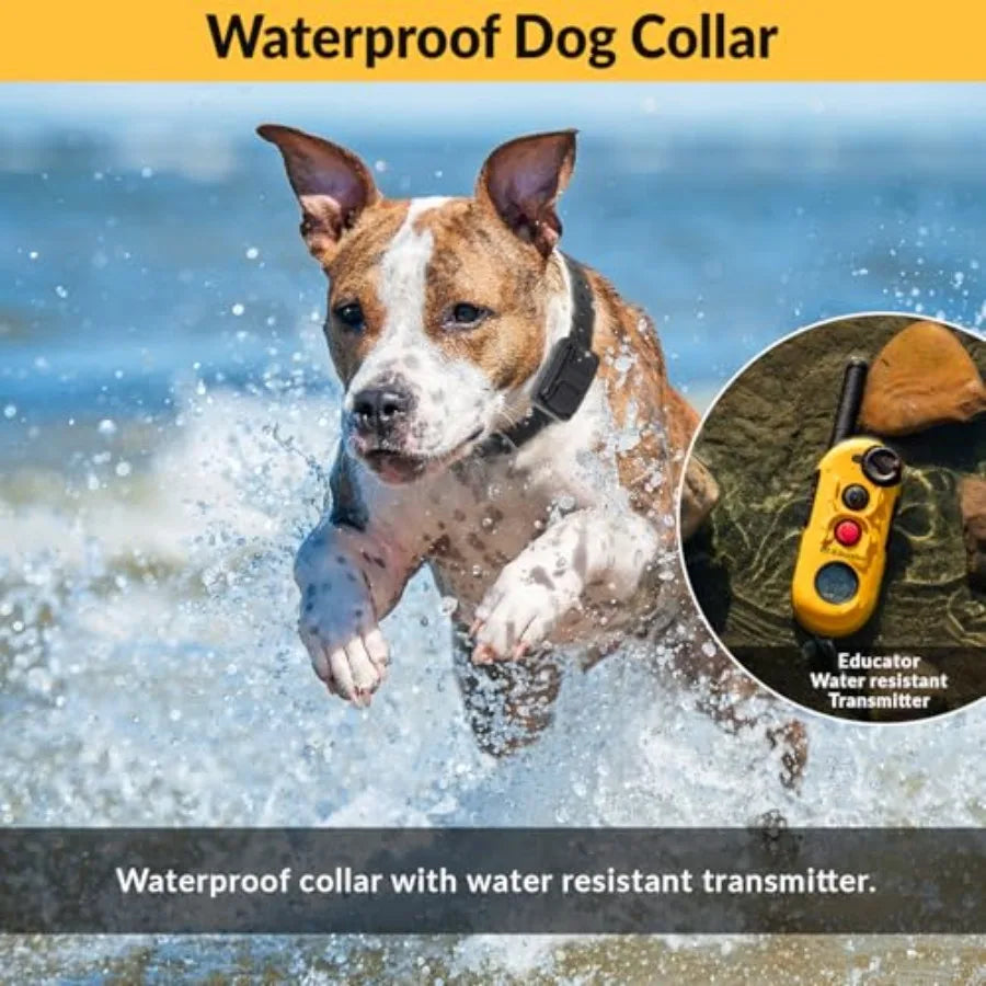 E-Collar EZ-900 1/2 Mile Dog Training Collar for Small Medium Dogs 10+ lbs Ergonomic LCD Remote, 256 Vibration Levels, Pavlovia