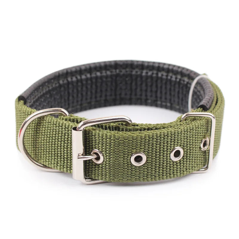 Durable Solid Nylon Dog Collar for Dogs of All Breeds