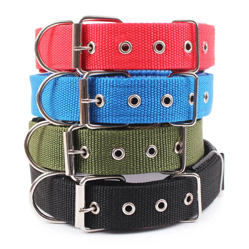 Durable Solid Nylon Dog Collar for Dogs of All Breeds