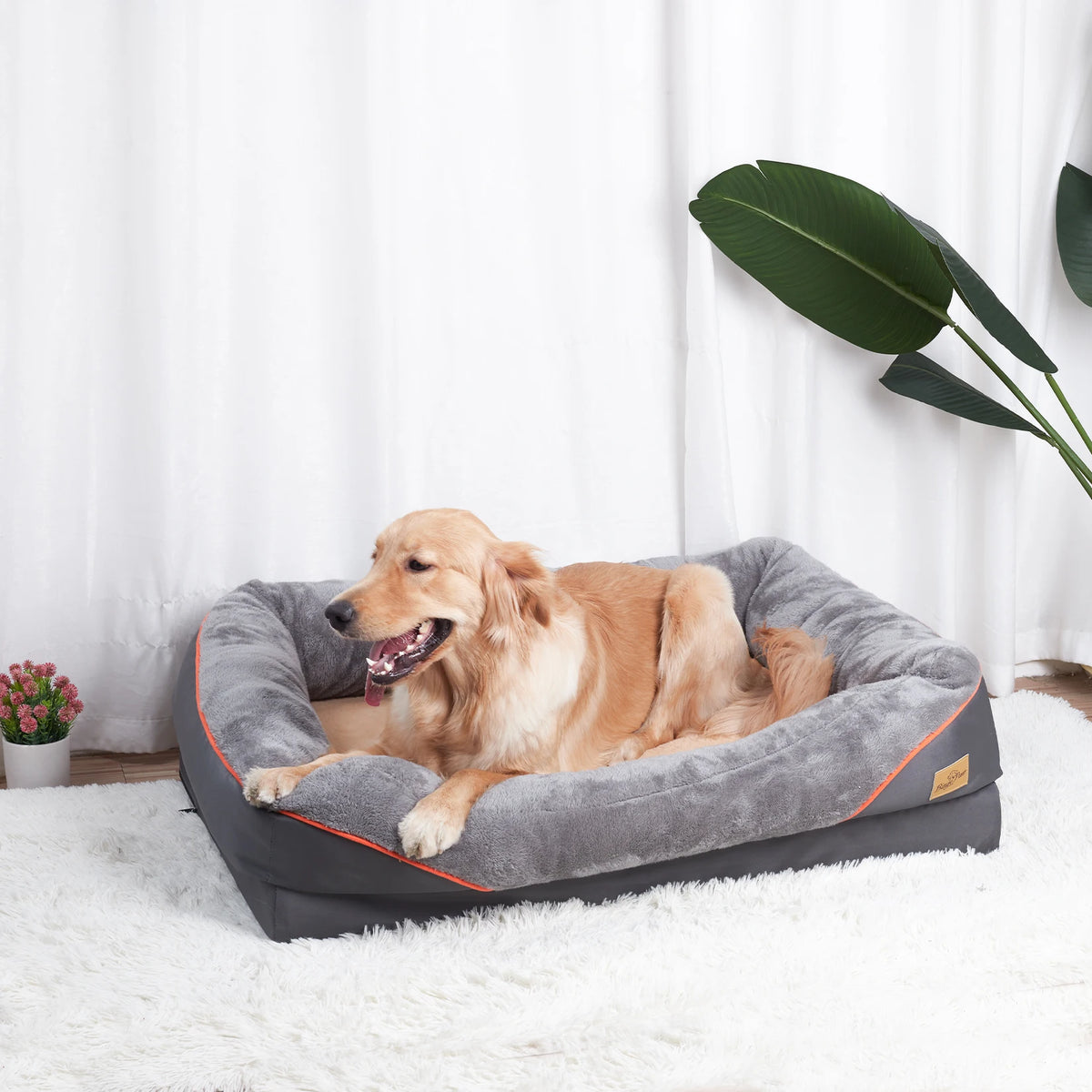 Bingopaw Comfortable Dog Bed With Removable Fleece Cover