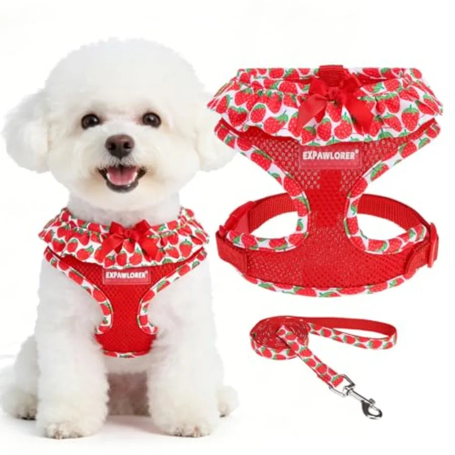 Adjustable No Choke Step In Dog Harness Collar Leash Set