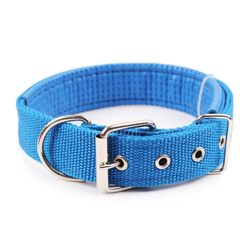 Durable Solid Nylon Dog Collar for Dogs of All Breeds