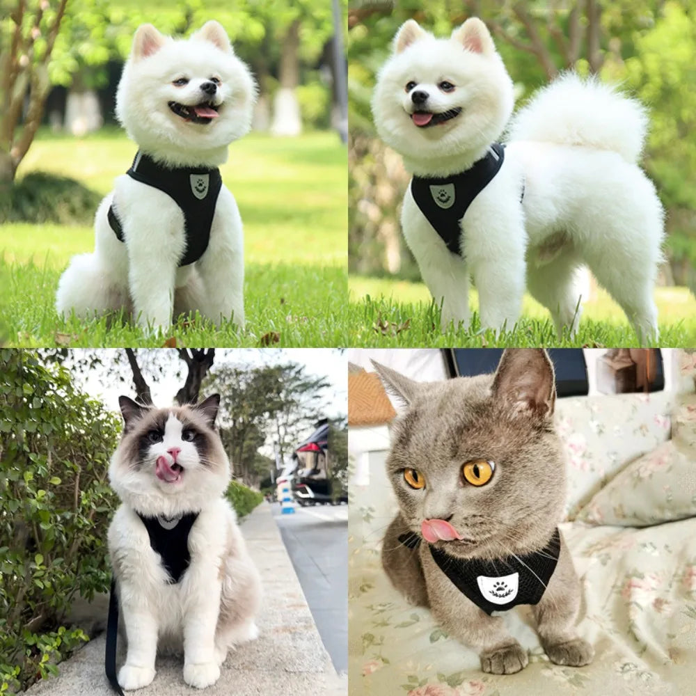 Reflective Escape Proof Cat Dog Harness And Leash Set